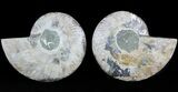 Cut/Polished Ammonite Pair - Agatized #47693-1
